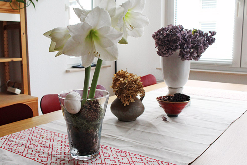 Amaryllis im Glas und getrocknete Hortensien in verschiedenen Vasen