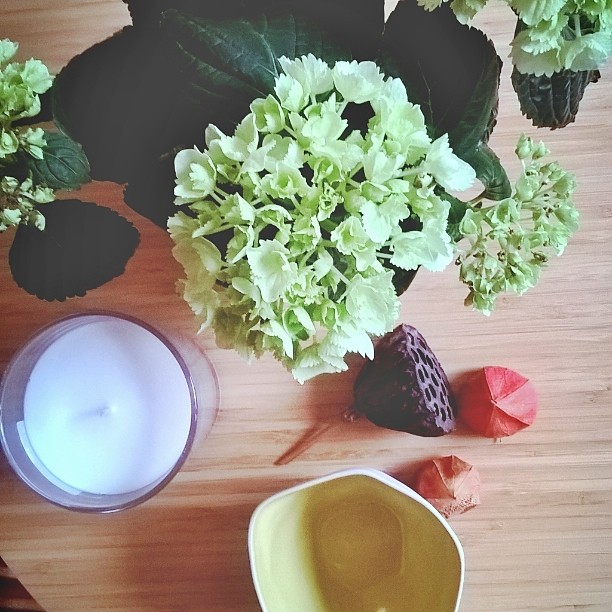 Ein Stillleben auf einem Couchtisch aus einer Hortensie, Kerze, Schale und verschiedenen Fruchtständen
