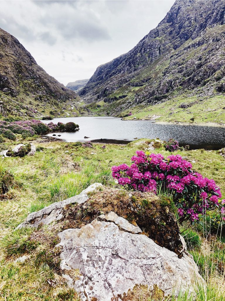 Irland Kerry National Park