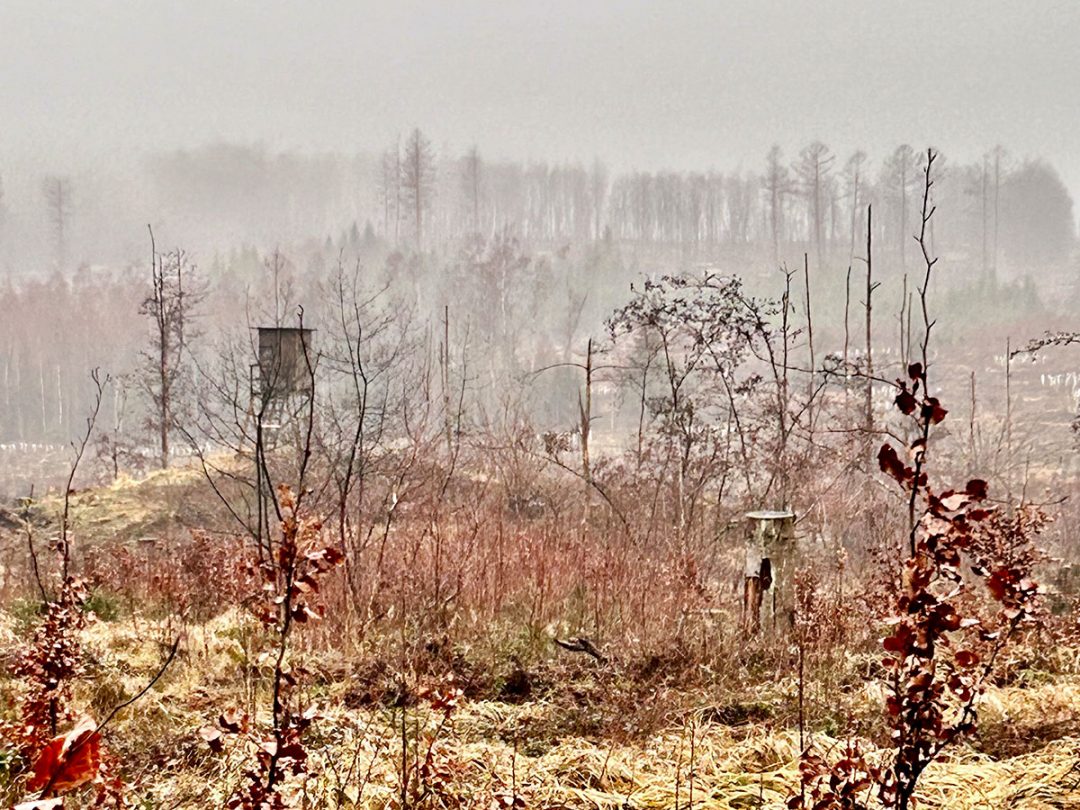 Ein Winterlandschaft im Westerwald ein Hochsitz und Bäume sowie Nebel im Hintergrund
